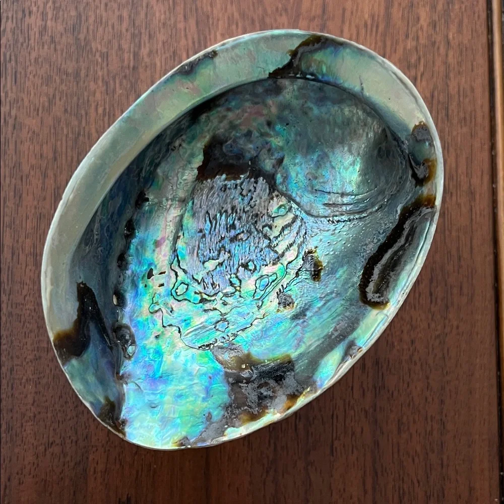 Abalone Shell Incense Burner-Smudge Bowl - Picture 2 of 13